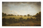 Tabley: The Park with a Distant View of the House by Anthony Devis