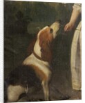 A Hound by School English