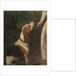 A Hound by School English