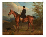 The Reverend W. Parker on a Bay Hunter with Hounds by Richard Dodd Widdas