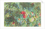 Pomegranates, 1908 by John Singer Sargent