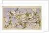 Apple Blossoms, c.1874 by John William Hill