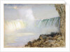 Niagara Falls by Arthur Parton