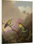 Two Hummingbirds, c.1865-75 by Martin Johnson Heade