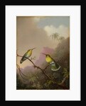 Two Hummingbirds, c.1865-75 by Martin Johnson Heade