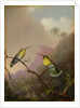 Two Hummingbirds, c.1865-75 by Martin Johnson Heade