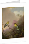 Two Hummingbirds, c.1865-75 by Martin Johnson Heade