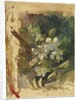 Apple Blossoms in Sunlight by John La Farge or Lafarge
