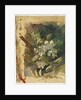 Apple Blossoms in Sunlight by John La Farge or Lafarge