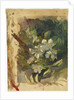 Apple Blossoms in Sunlight by John La Farge or Lafarge