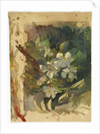 Apple Blossoms in Sunlight by John La Farge or Lafarge