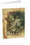 Apple Blossoms in Sunlight by John La Farge or Lafarge