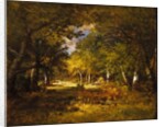 Forest Scene, c.1844-60 by Narcisse Virgile Diaz de la Pena