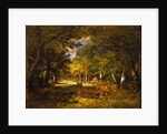 Forest Scene, c.1844-60 by Narcisse Virgile Diaz de la Pena