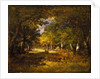 Forest Scene, c.1844-60 by Narcisse Virgile Diaz de la Pena