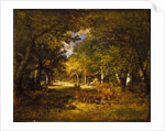 Forest Scene, c.1844-60 by Narcisse Virgile Diaz de la Pena