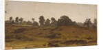 View of a Field, early 1850s by Auguste Francois Bonheur