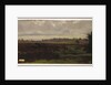 Marshlands, mid-1850s by Auguste Francois Bonheur