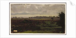Marshlands, mid-1850s by Auguste Francois Bonheur