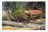 End of the Portage, 1897 by Winslow Homer