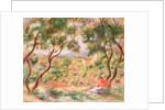 The Vines at Cagnes, 1906 by Pierre Auguste Renoir