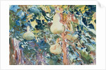 Gourds, c.1905 by John Singer Sargent