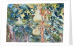 Gourds, c.1905 by John Singer Sargent
