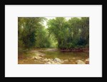 A Catskill Stream, 1867 by Asher Brown Durand