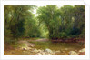 A Catskill Stream, 1867 by Asher Brown Durand