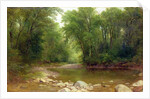 A Catskill Stream, 1867 by Asher Brown Durand