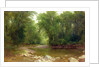 A Catskill Stream, 1867 by Asher Brown Durand