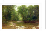 A Catskill Stream, 1867 by Asher Brown Durand