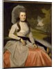Portrait of Clarissa Seymour, 1789 by Ralph Earl