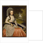 Portrait of Clarissa Seymour, 1789 by Ralph Earl