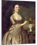 Portrait of a Woman c.1762 by Joseph Jonathan Blackburn