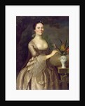 Portrait of a Woman c.1762 by Joseph Jonathan Blackburn