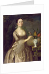 Portrait of a Woman c.1762 by Joseph Jonathan Blackburn