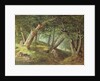 In the Forest, 1856 by William Holbrook Beard