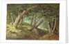 In the Forest, 1856 by William Holbrook Beard