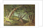 In the Forest, 1856 by William Holbrook Beard
