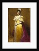 Portrait of Emily Warren Roebling, 1896 by Charles Emile Auguste Carolus-Duran