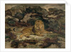 Lion Reclining by Antoine Louis Barye