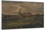 Stag Walking by Antoine Louis Barye