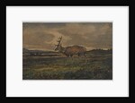 Stag Walking by Antoine Louis Barye