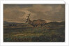 Stag Walking by Antoine Louis Barye