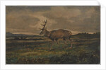 Stag Walking by Antoine Louis Barye