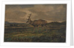 Stag Walking by Antoine Louis Barye