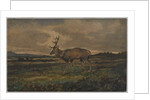 Stag Walking by Antoine Louis Barye