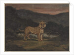 Standing Lioness by Antoine Louis Barye