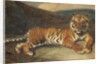 Tiger Reclining by Antoine Louis Barye